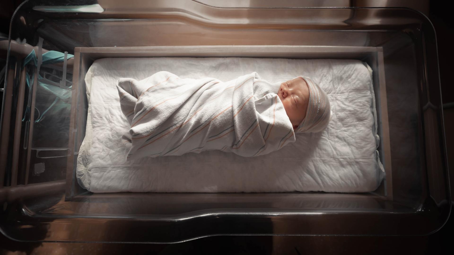 paternity lawyer wichita ks