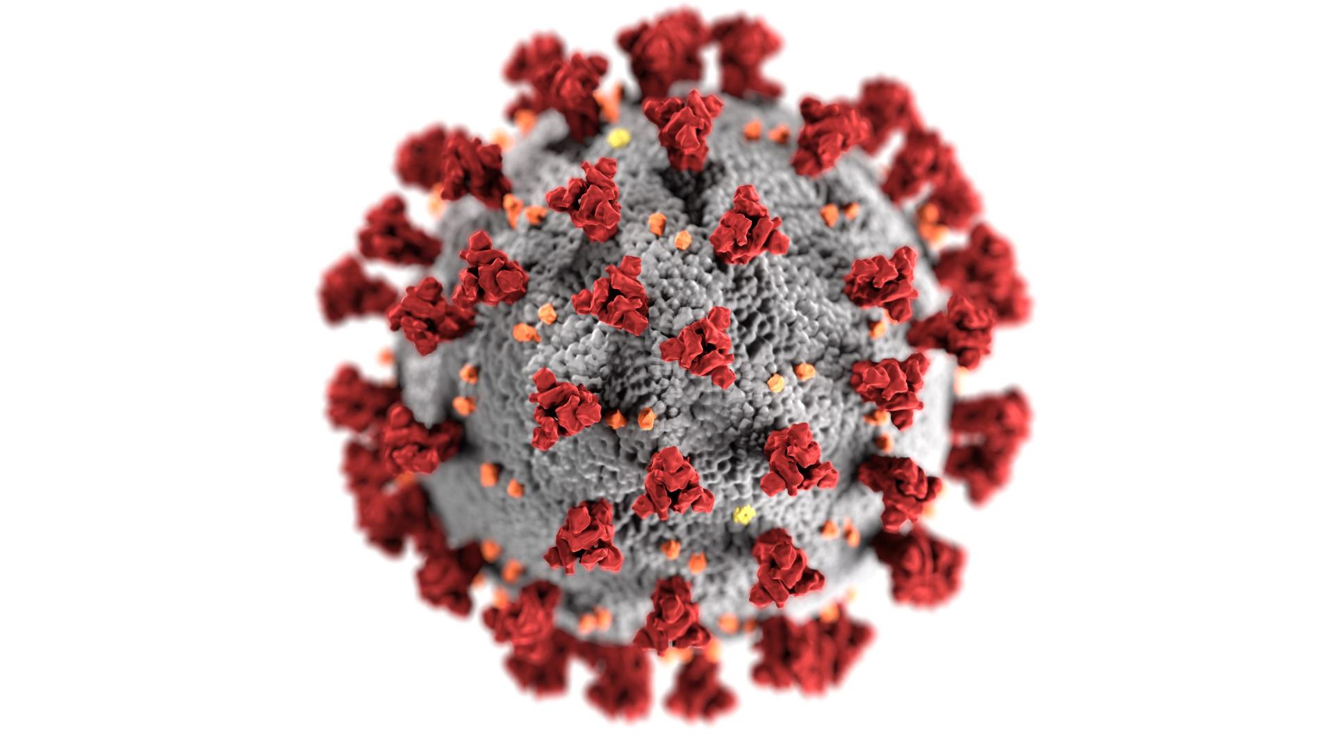 Corona virus image