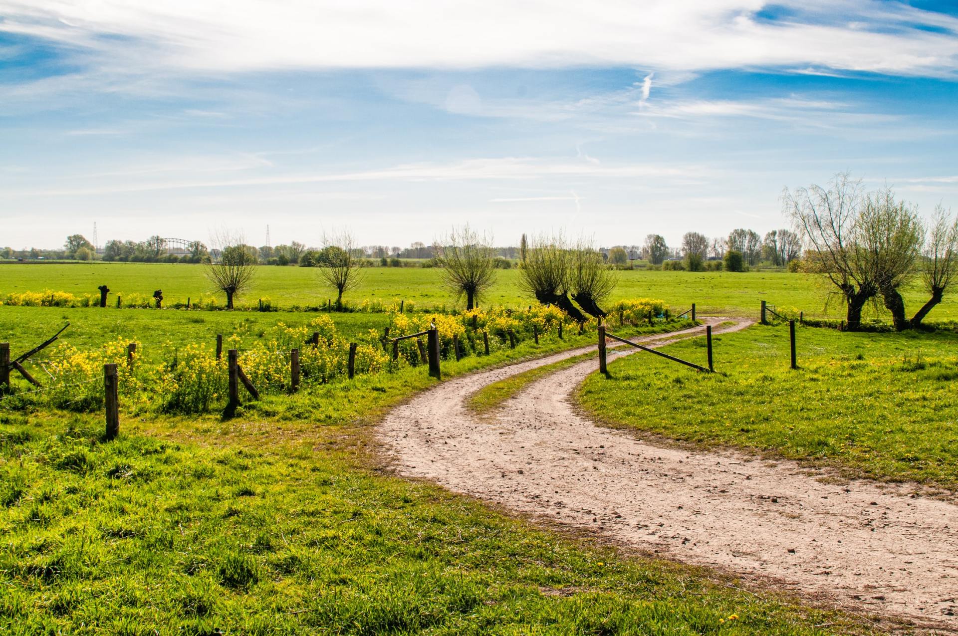 land surveys | Construction Survey