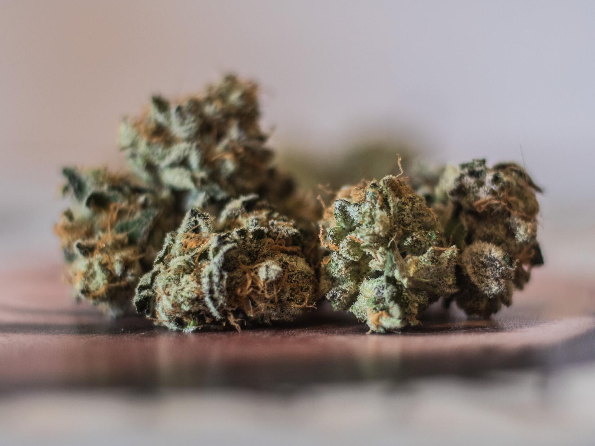 The Cannabis boom and the challenge of last mile logistics