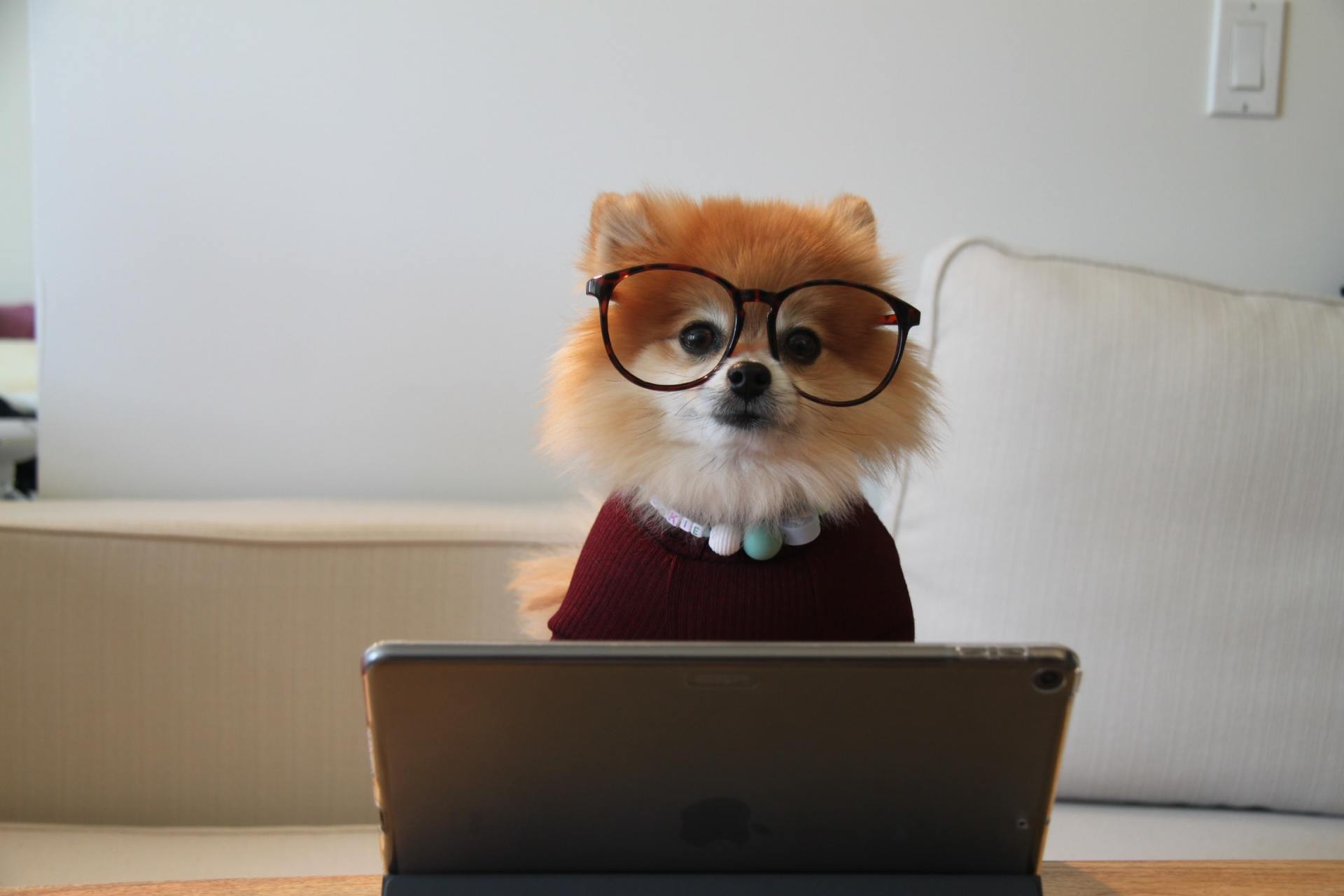 showing off your skills in your cover letter