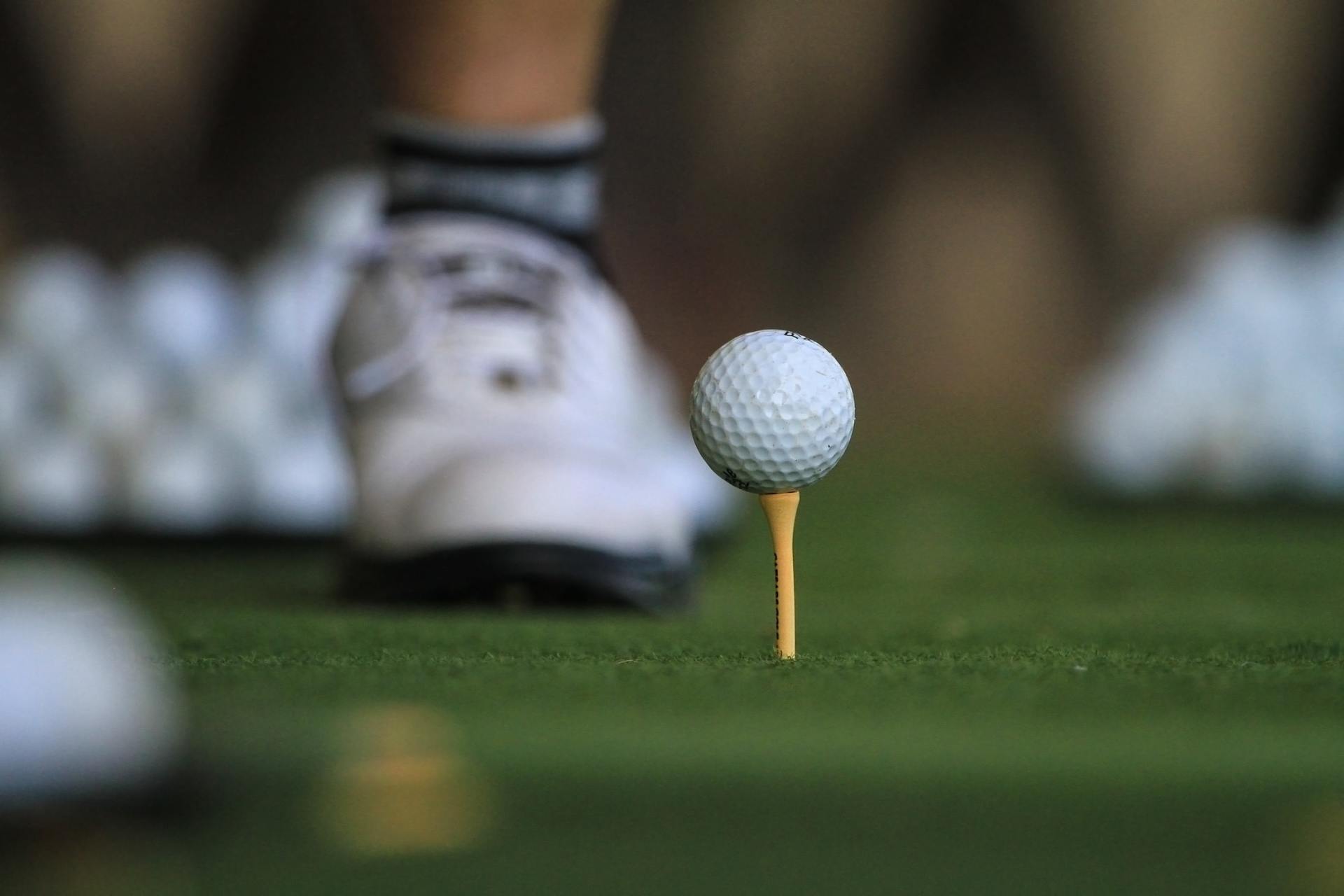 Plan your next golf outing at Michigan Meadows Golf Course in Casco, MI
