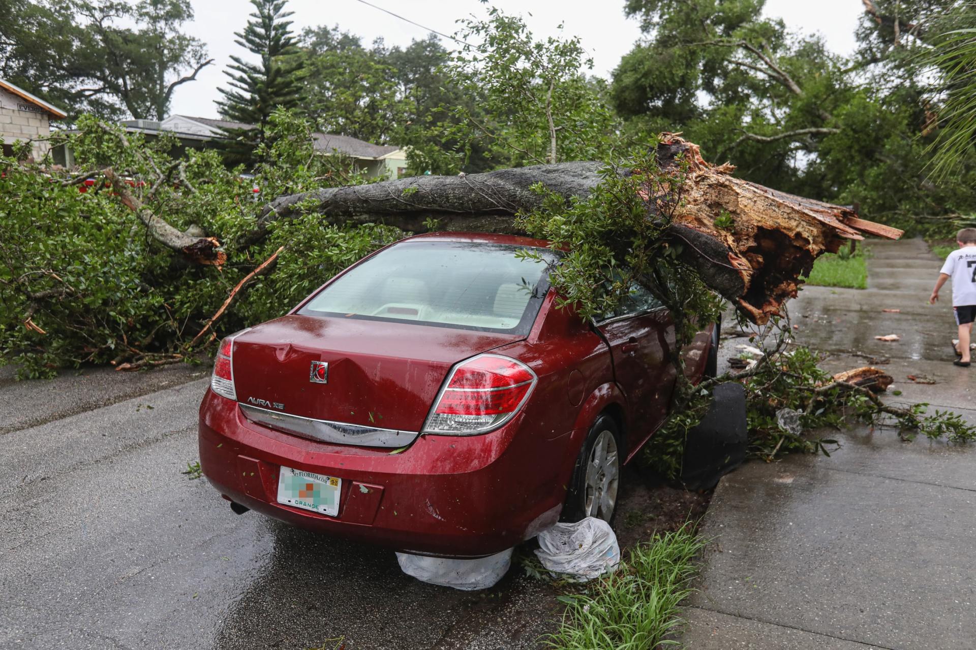 Emergency Tree Services near me