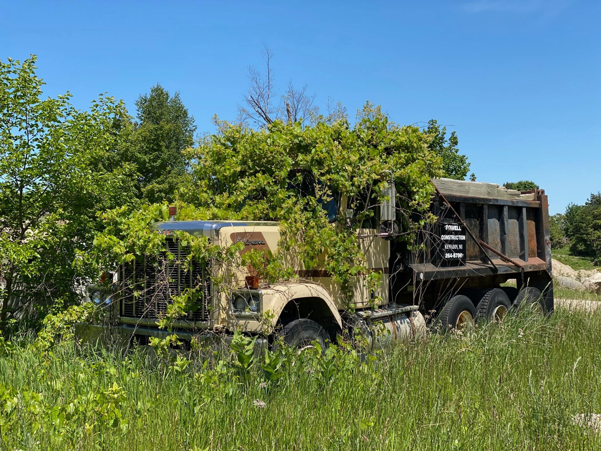 Overgrown property West Hartford