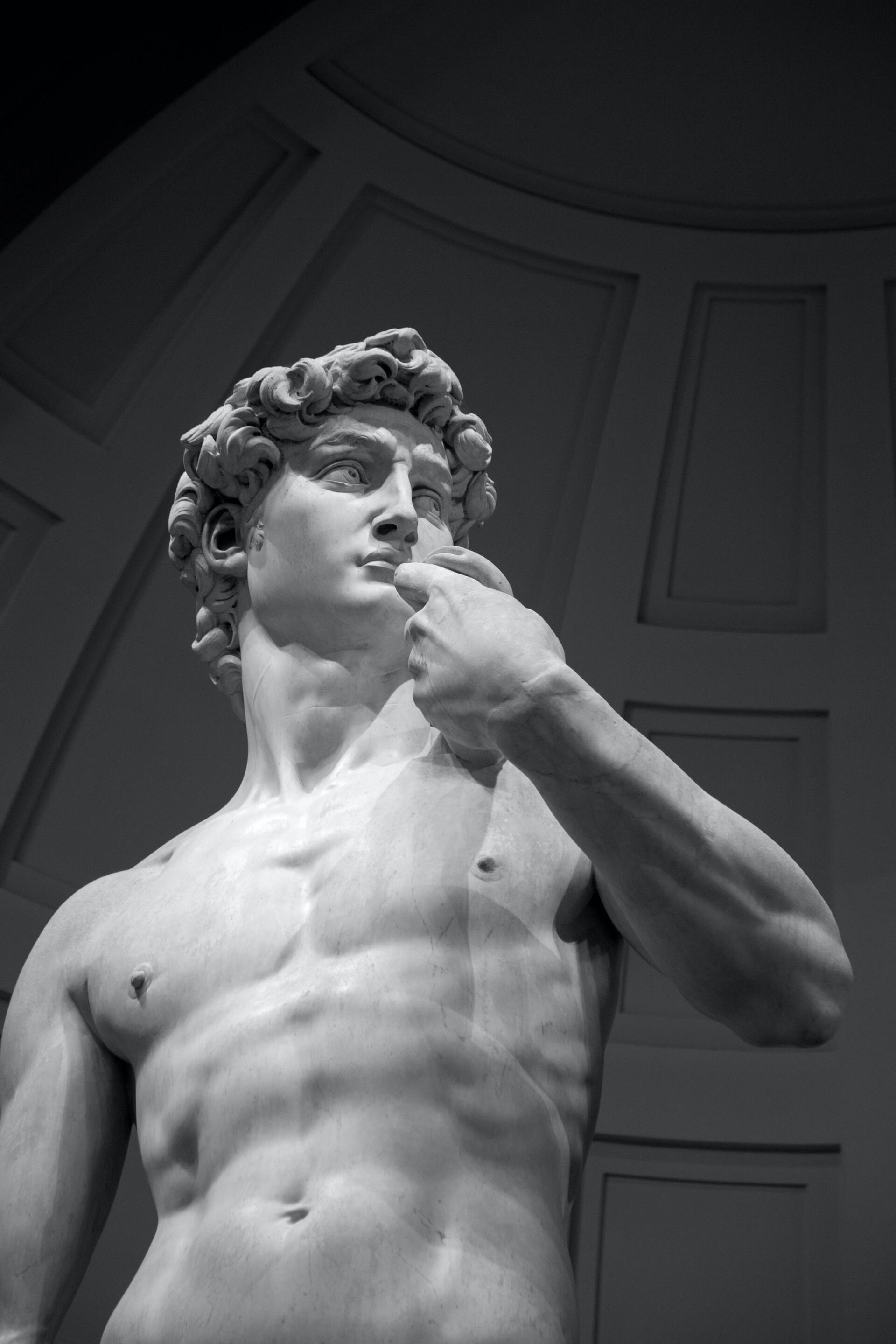 David di Michelangelo a Firenze
