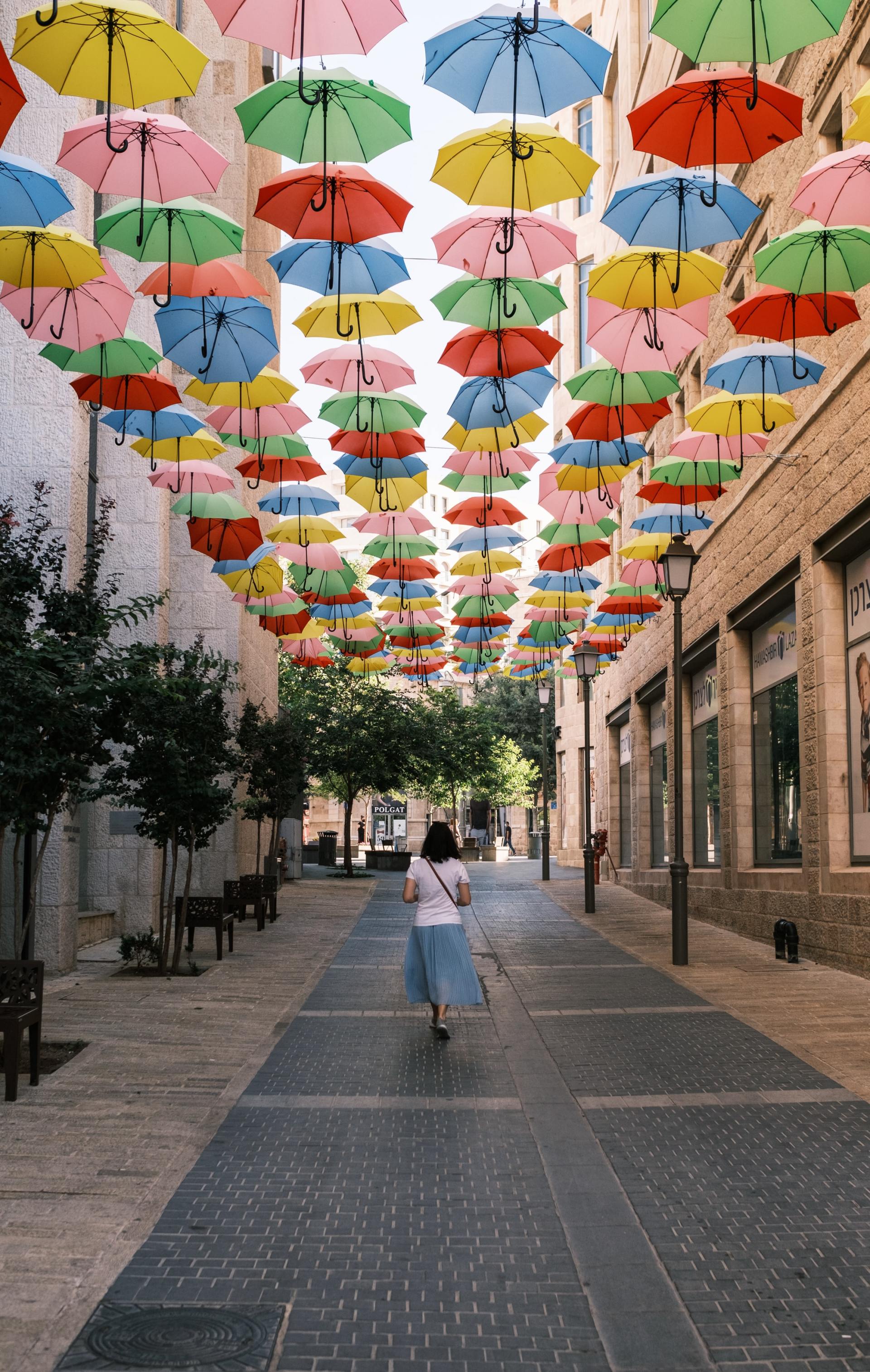 קורסים הנפתחים בקיץ 2026