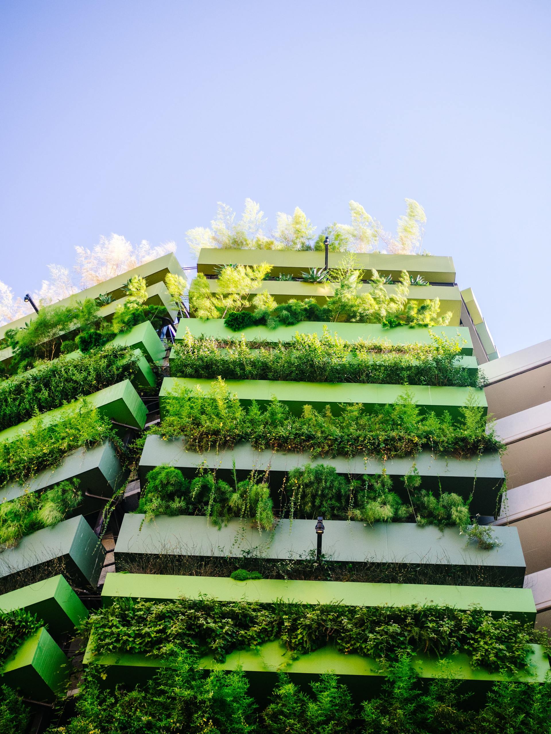 A building with lots of green plants growing on it.