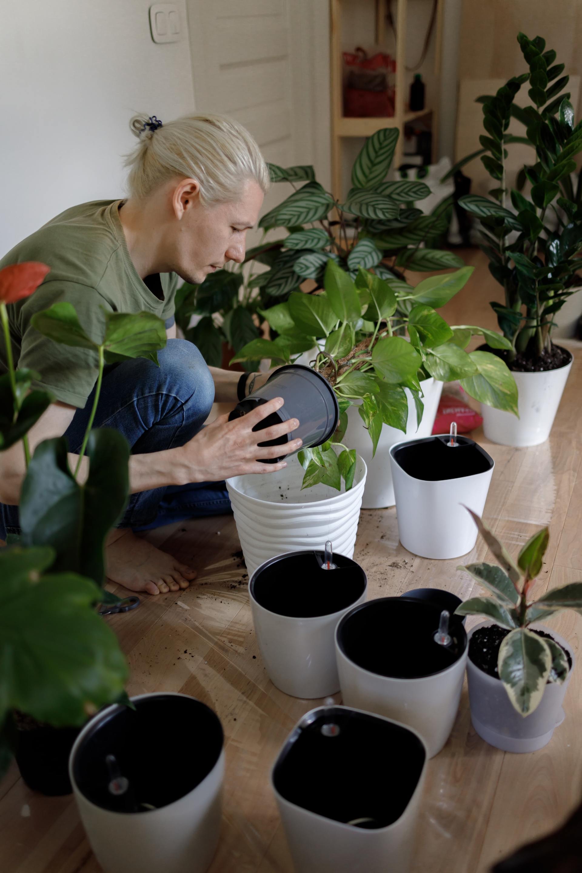 Een persoon verpot planten binnenshuis, omringd door witte potten en bladeren op een houten vloer.