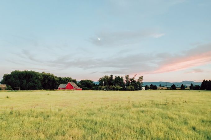 There is a red barn in the middle of a field.