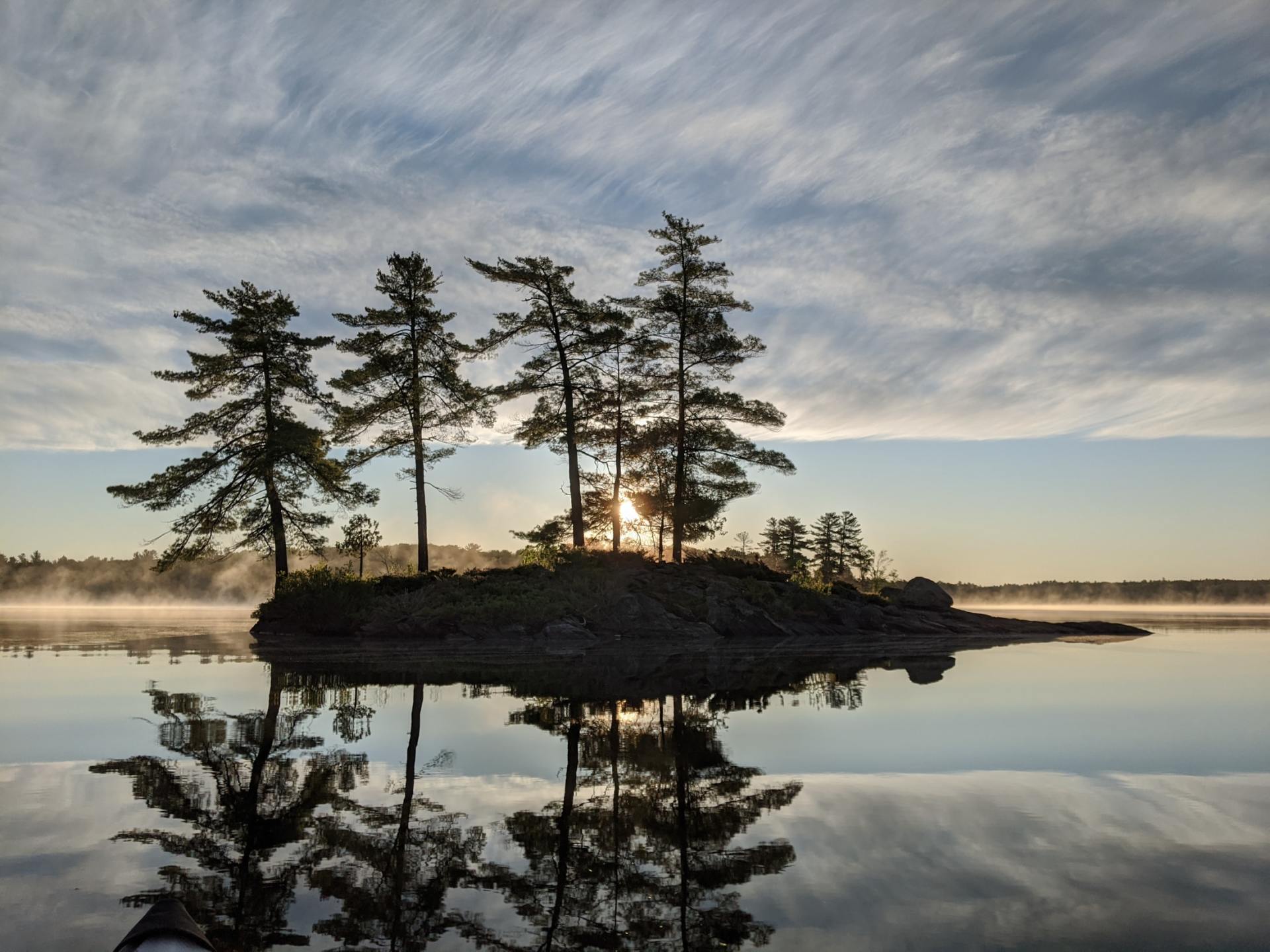 A small island in the middle of a lake with trees on it