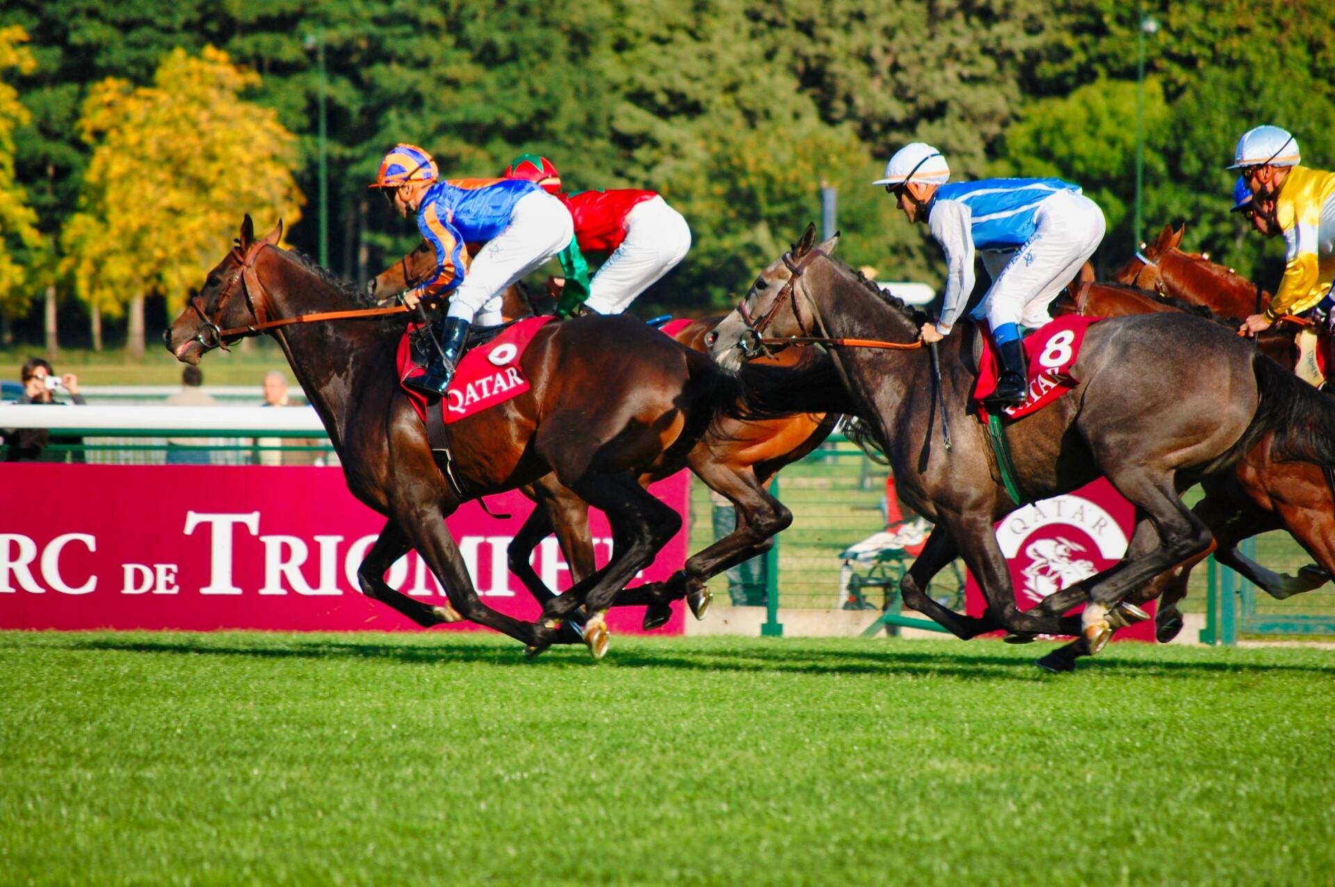 The benefits of natural turf for horse racecourses
