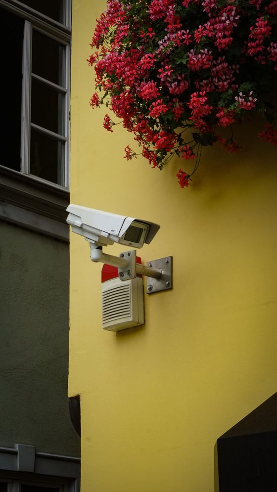 videocamera