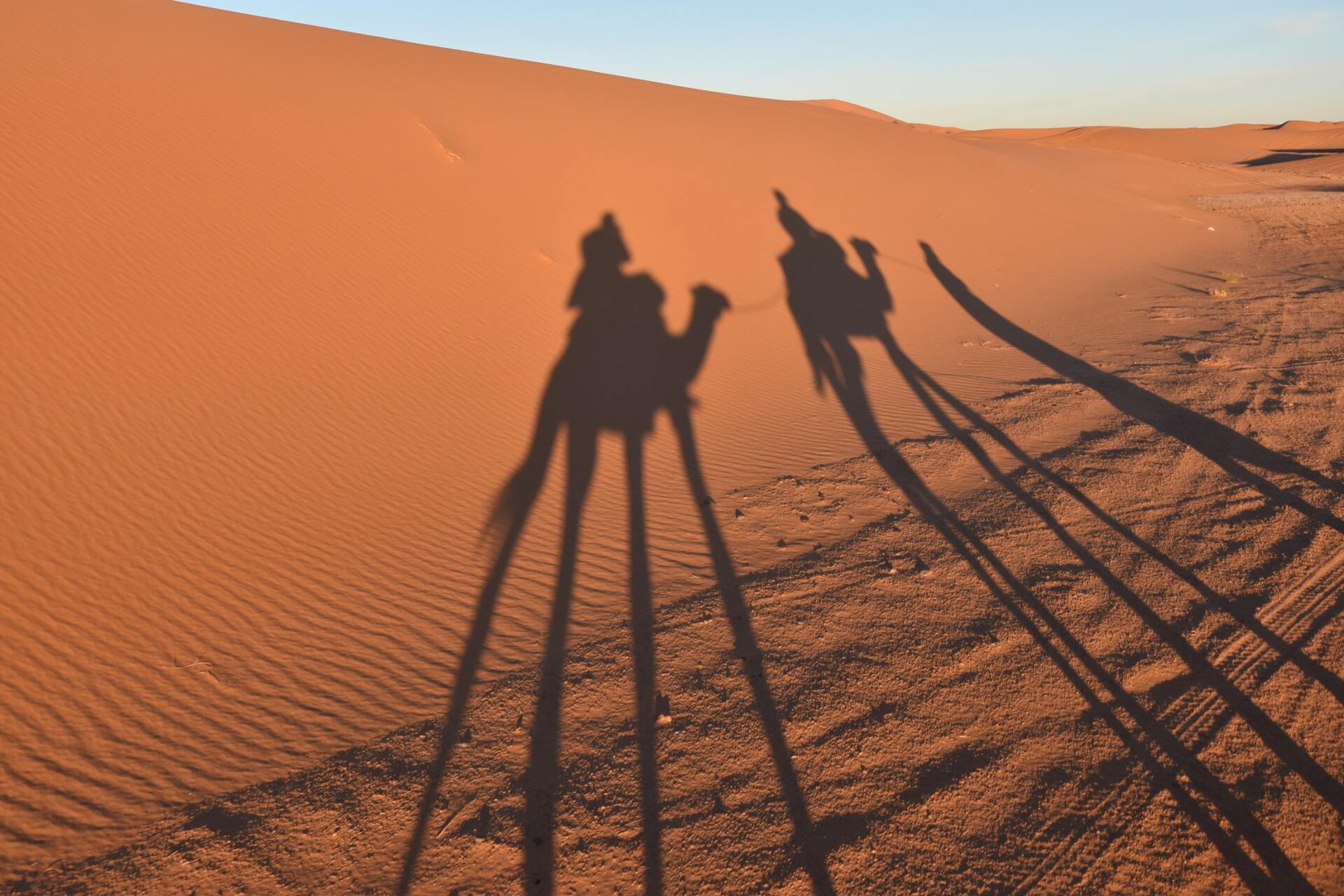 Die Schatten dreier Kamele werden in den Wüstensand geworfen.