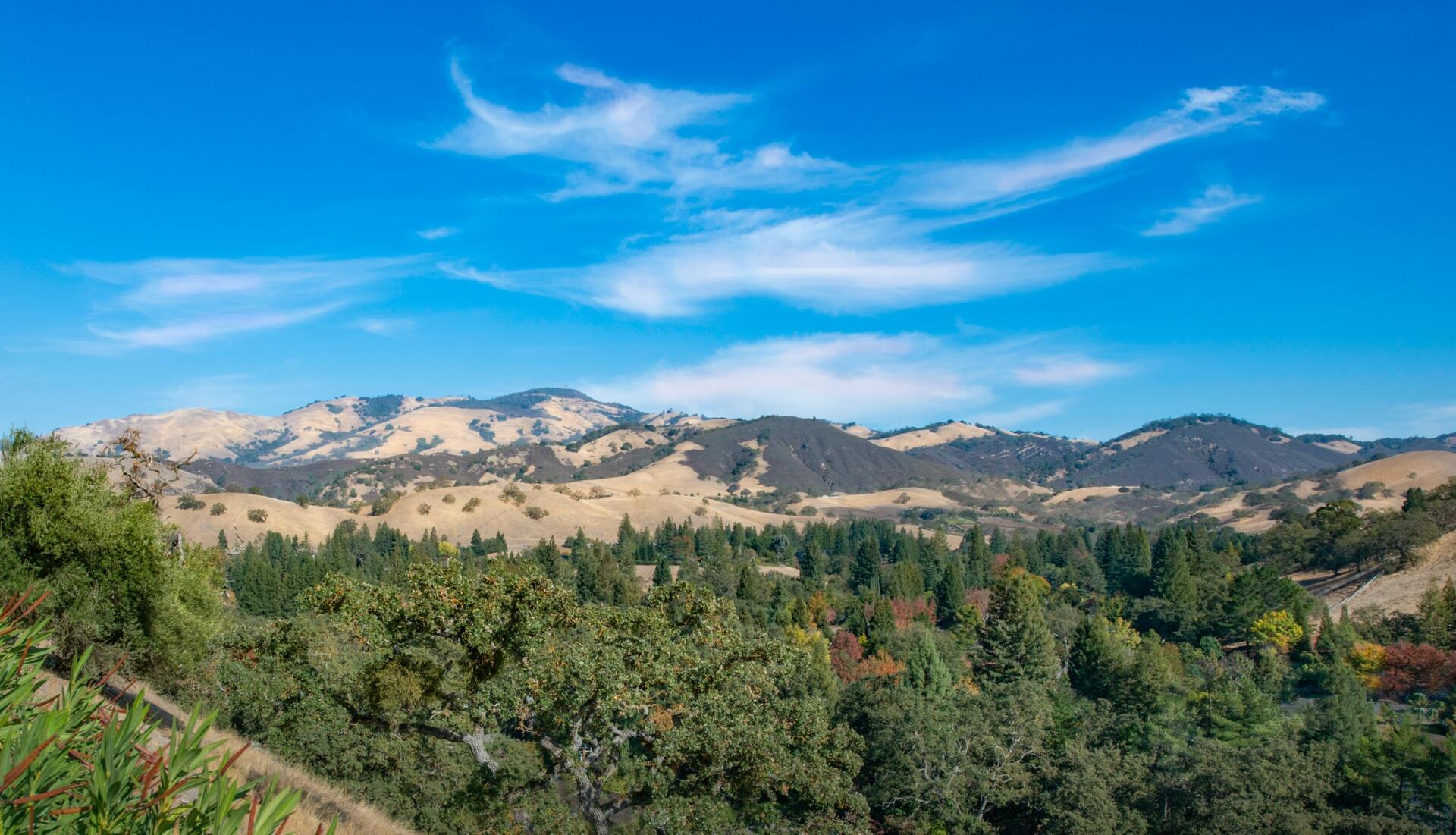 There are mountains in the background and trees in the foreground.