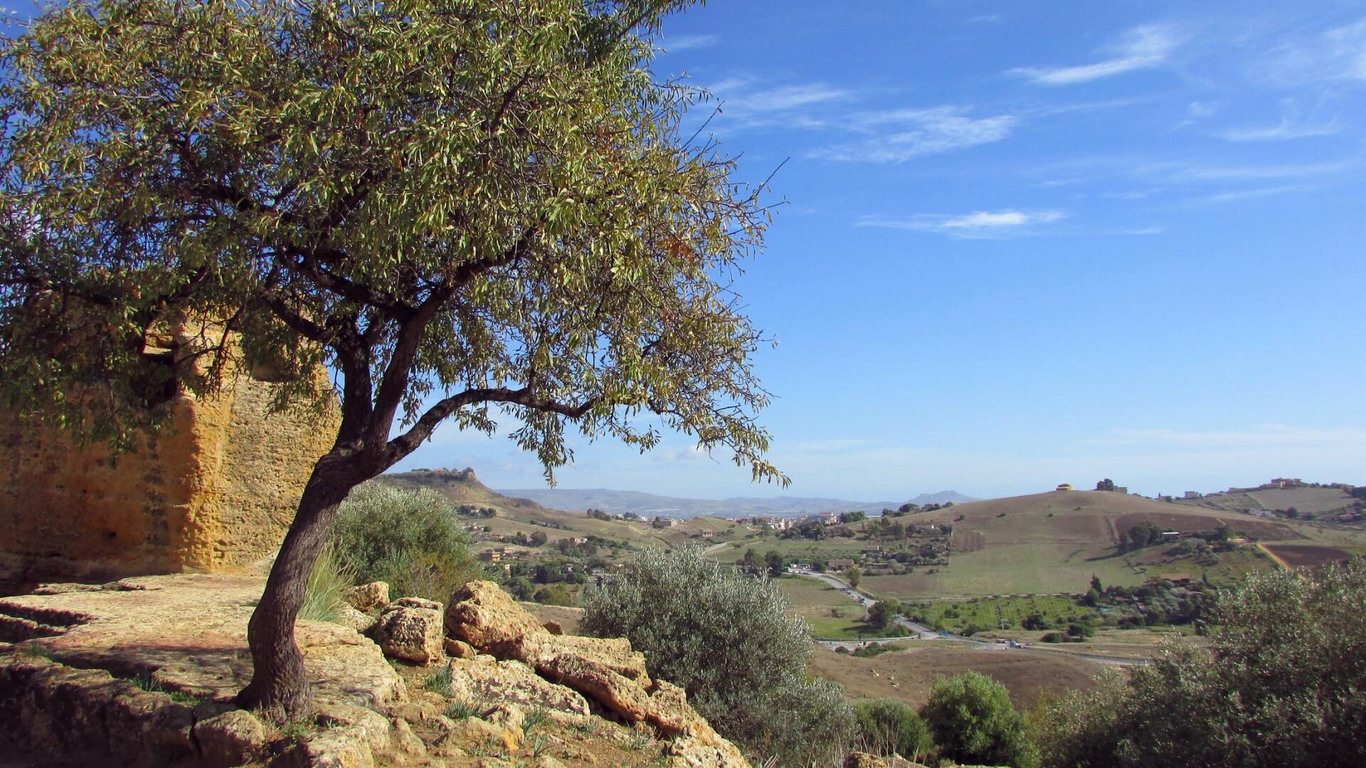 לימודי ארץ ישראל, חינוך סביבתי