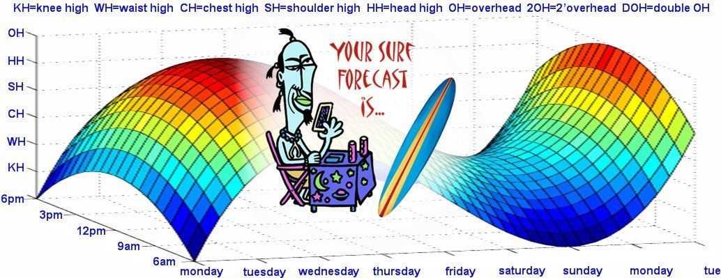 Surf Reports