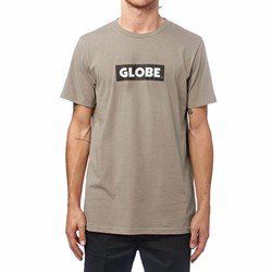 Man wearing a gray GLOBE logo T-shirt against a white background