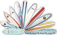 Assortment of colorful nail files and manicure tools fanned out on a white background
