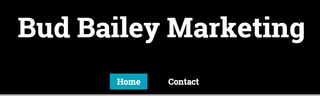 Link to Bud Bailey Marketing