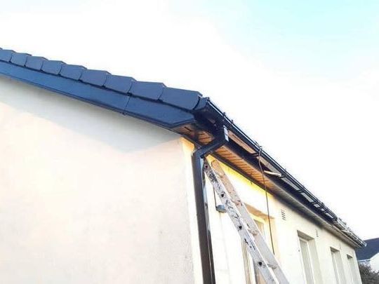 A ladder is sitting on the side of a building next to a gutter.