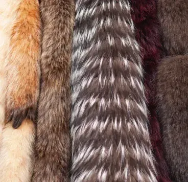 A rack of various brown fur coats hanging on clothes hangers, lined up against a soft pink wall.