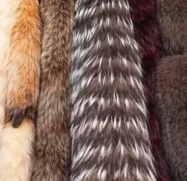 Vertical strips of various textured animal furs in shades of cream, brown, black, silver, and deep red.