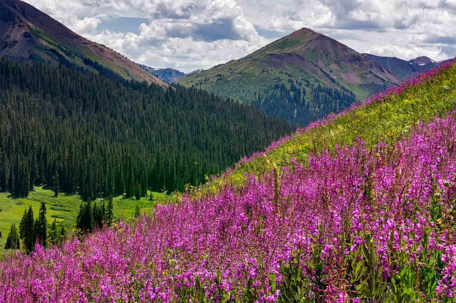 Mountain View — Fort Collins, CO — Nephrology Clinic