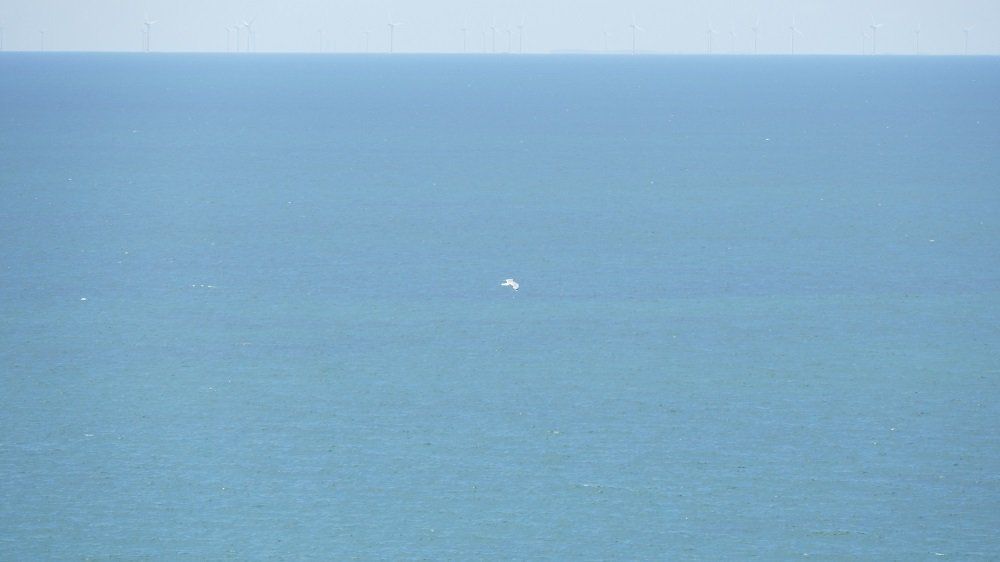 Das Meer um Anholt: blauer geht es nicht