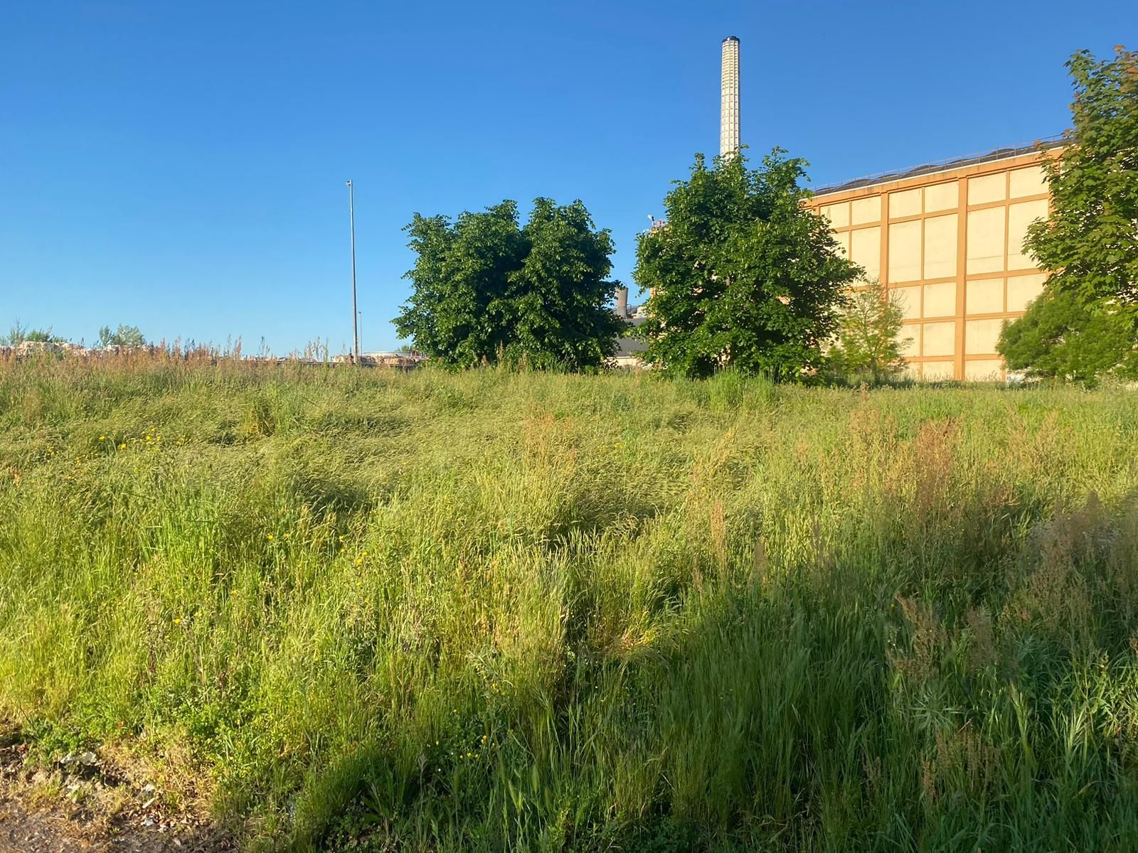 Tonte d'herbes hautes sur grandes surfaces sur l'ile de Nantes