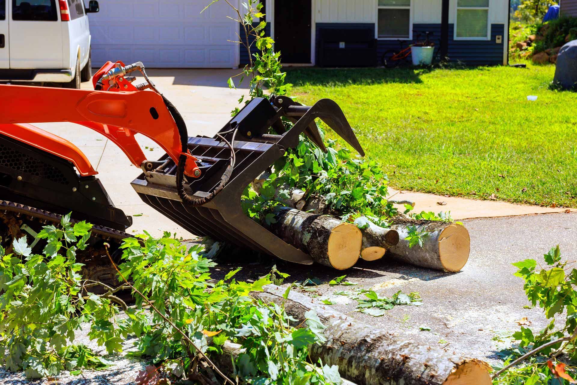 Orange skid-steer loader moving cut tree branches onto a driveway near a lawn