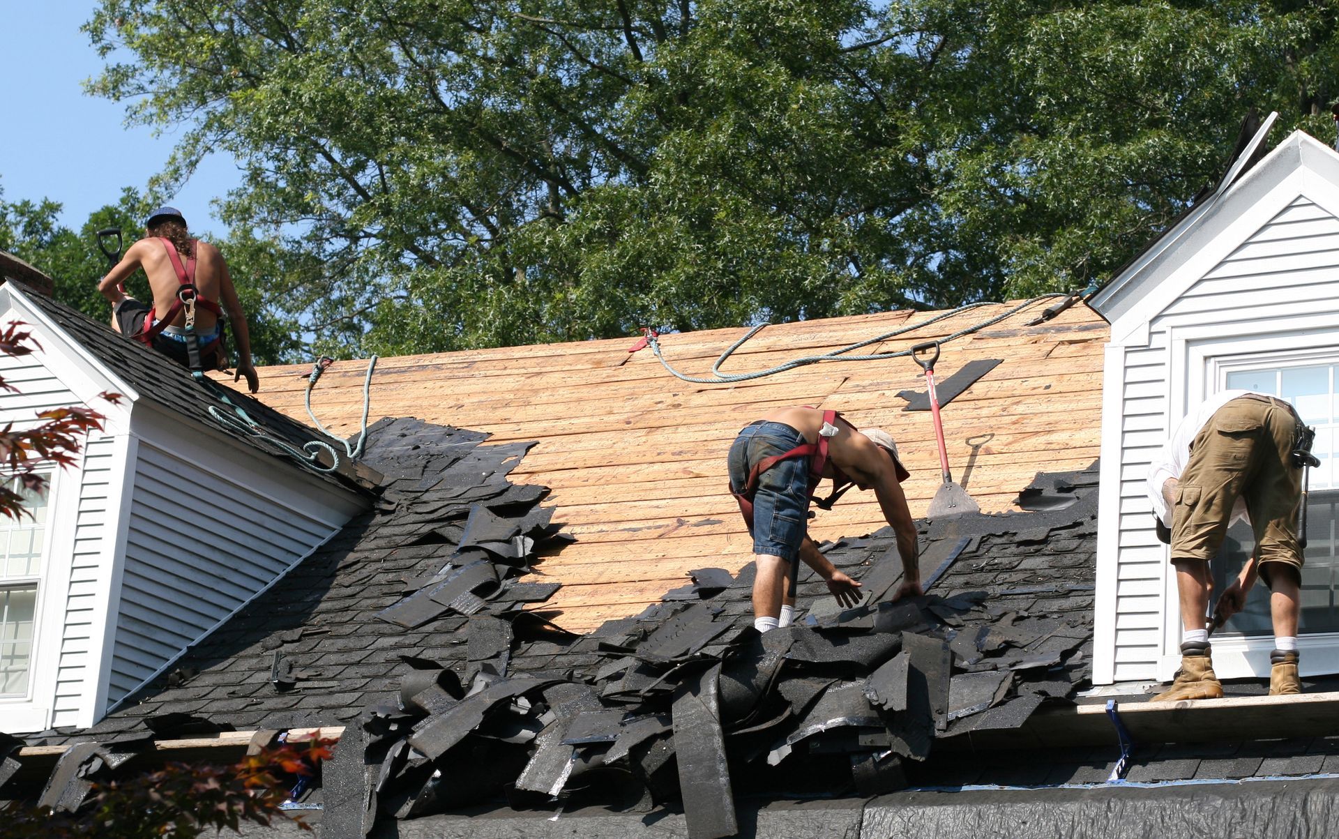 Professional roofers removing old roofing for replacement, on a sunny date. Professional roofers removing old roofing for replacement, on a sunny date.