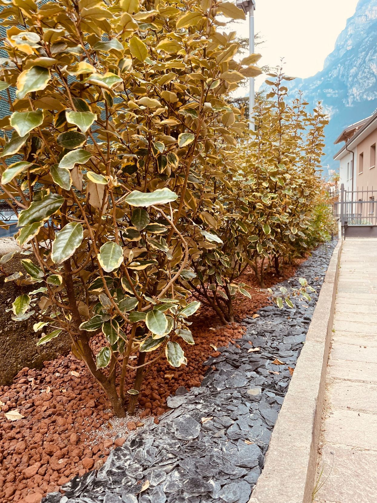 un giardino con un divano, poltrona e un tavolino in ferro
