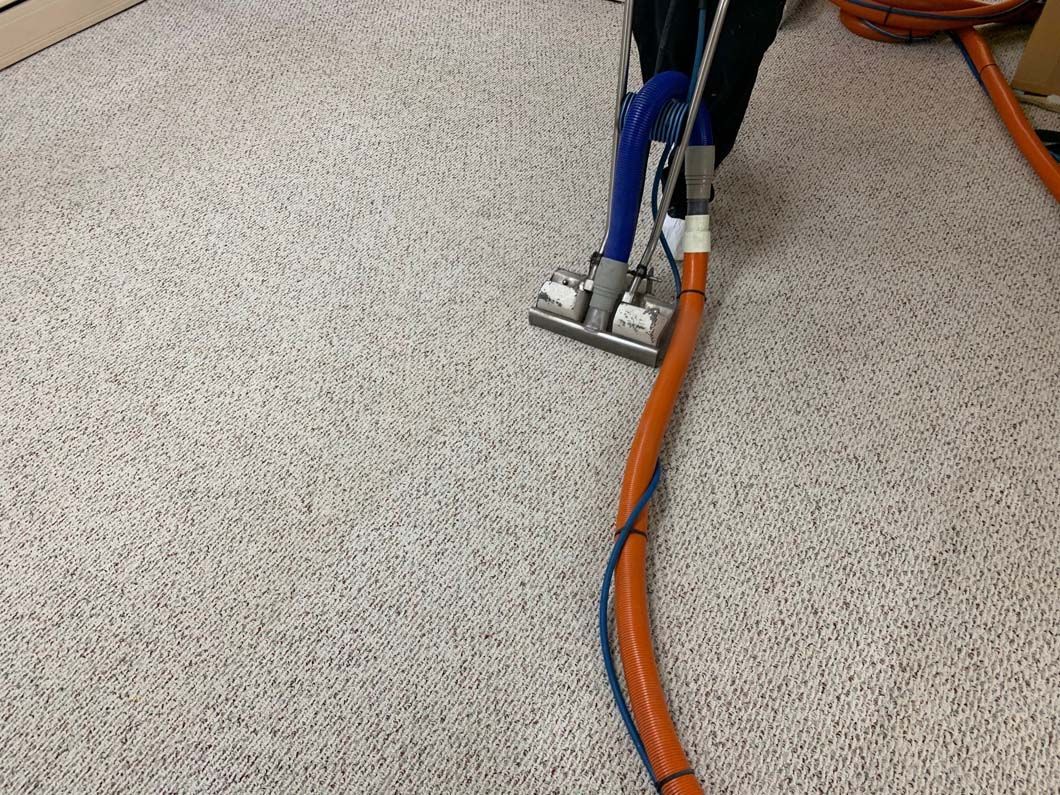 A person uses a commercial steam cleaner to clean a patterned carpet with an orange hose.