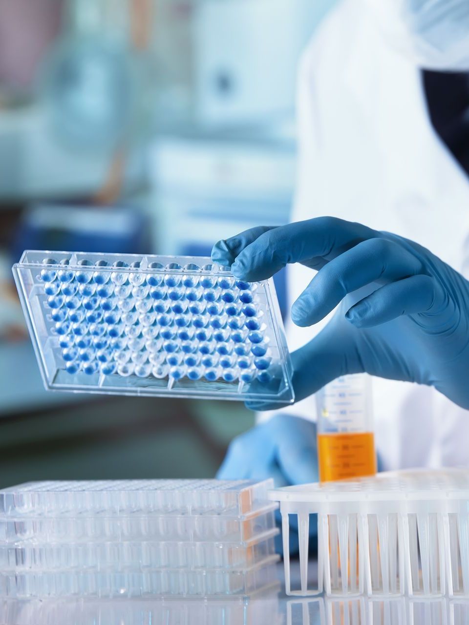 A person wearing blue gloves is holding a tray with blue dots on it.