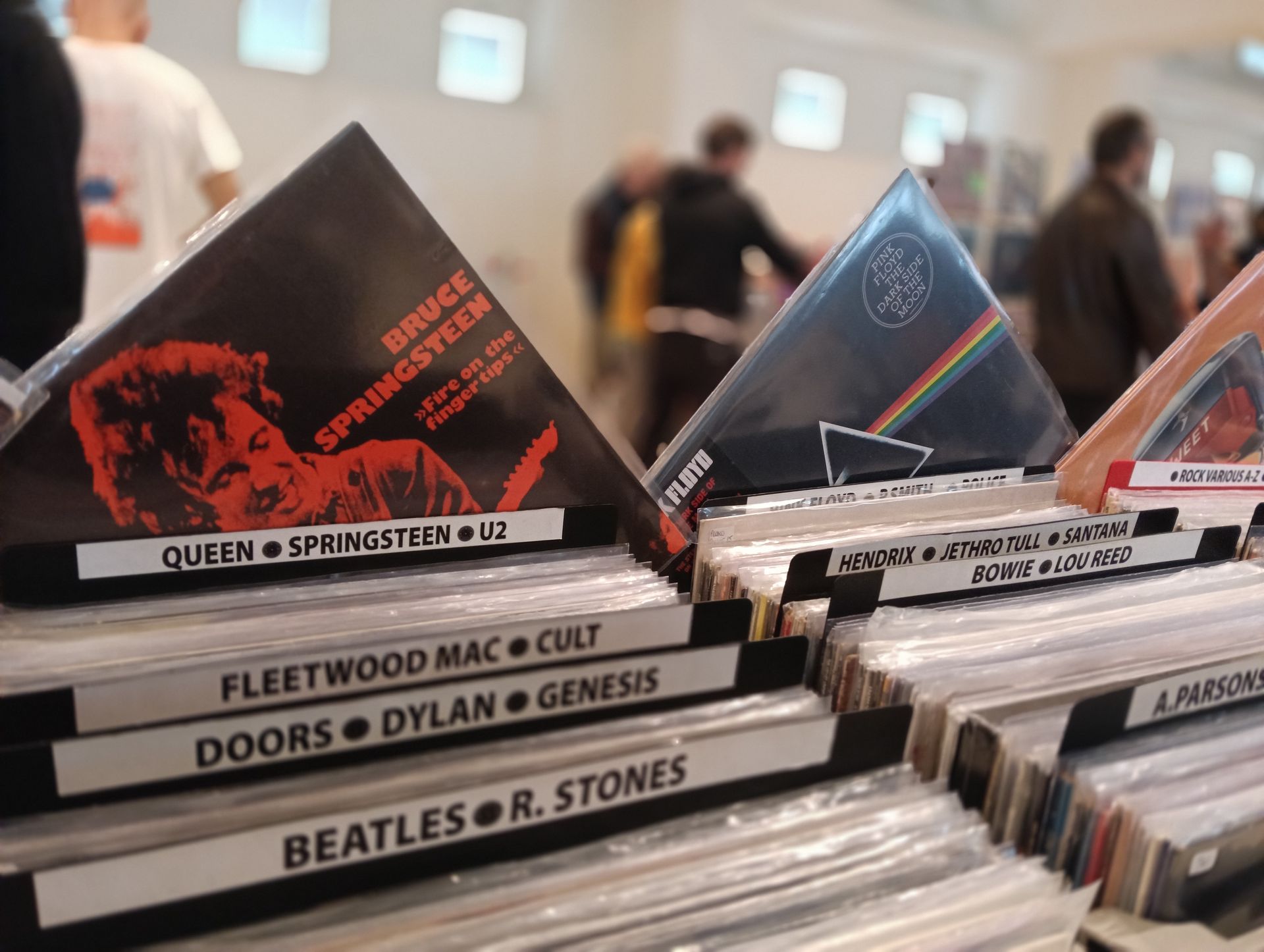 mostra del disco