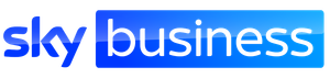 logo sky business