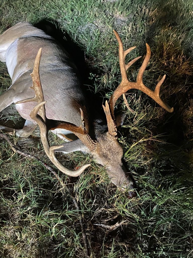 Monster Deer!