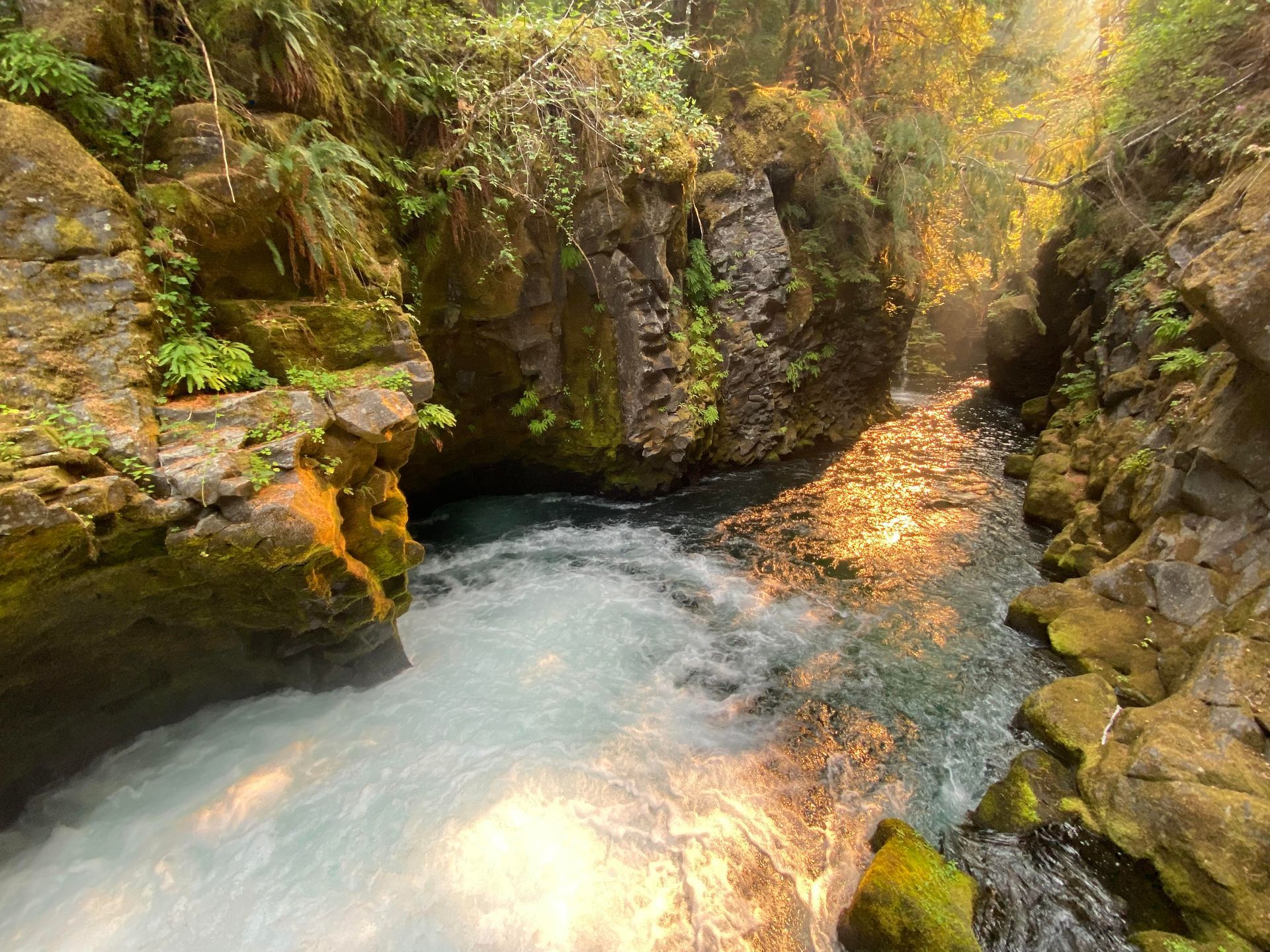 A river flowing through a canyon surrounded by rocks and trees.