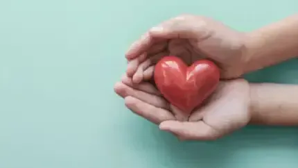 A person is holding a red heart in their hands.