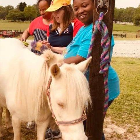 A group of people are standing next to a white horse.