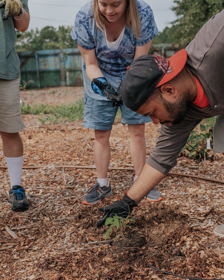A man is planting a plant in a garden while a woman watches.