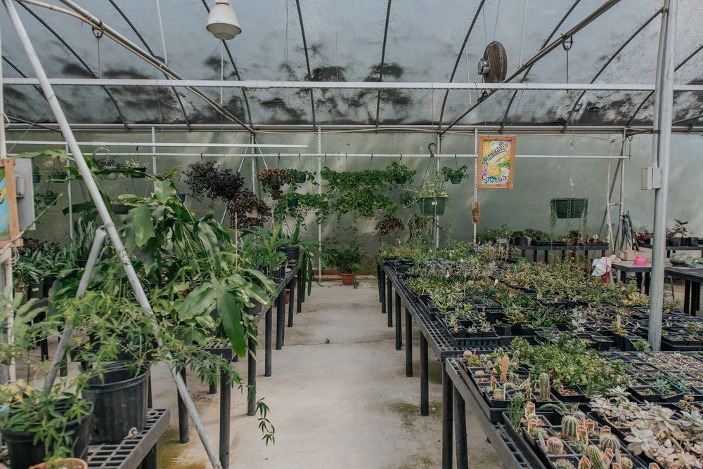 A greenhouse filled with lots of potted plants and tables.