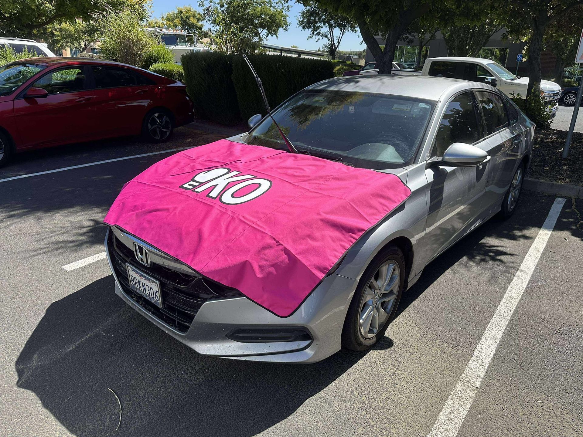 Silver sedan parked in a lot with a bright pink custom car cover draped over the hood.