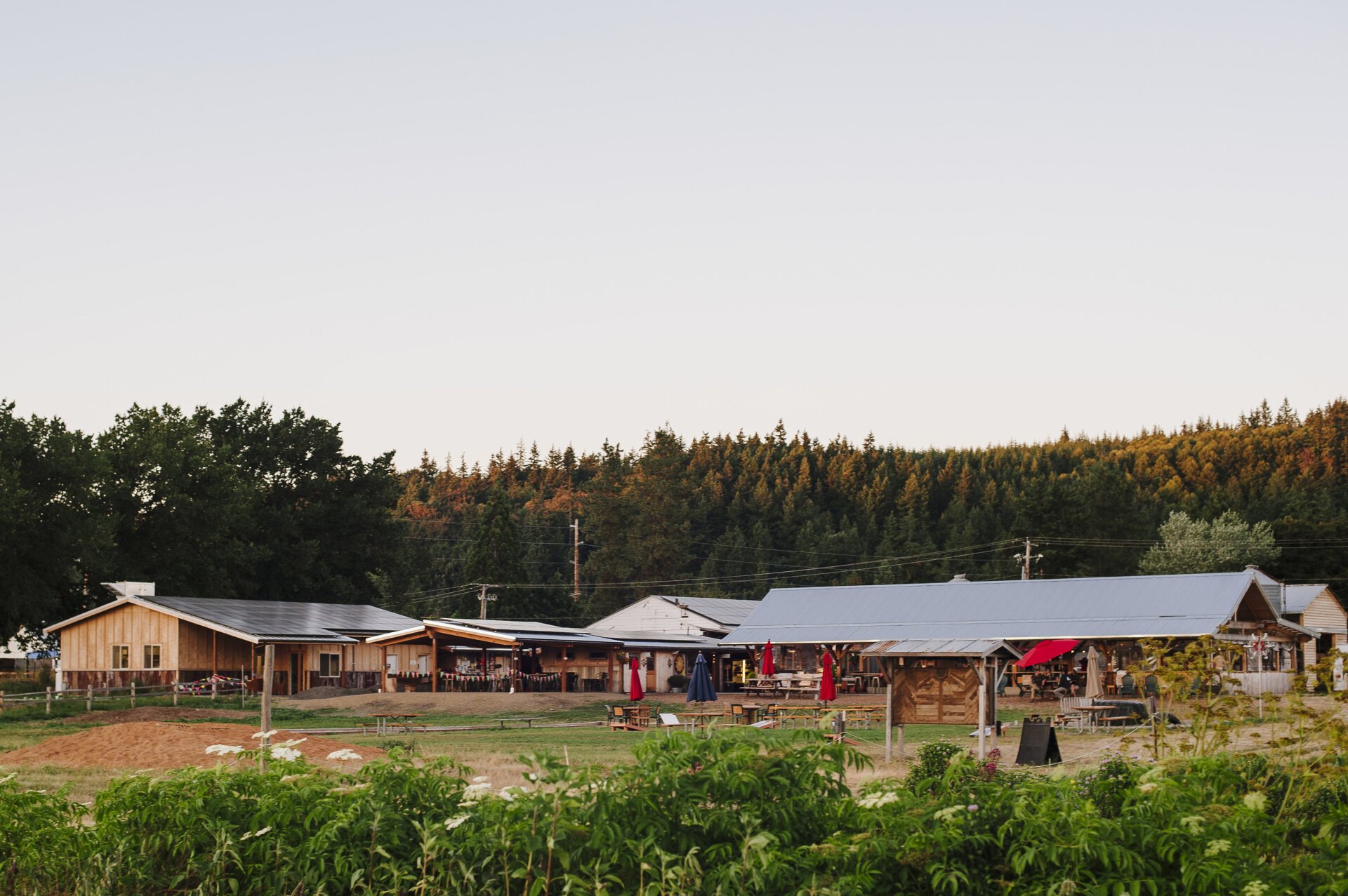 Finnriver Farm & Cidery Jobs at Finnriver