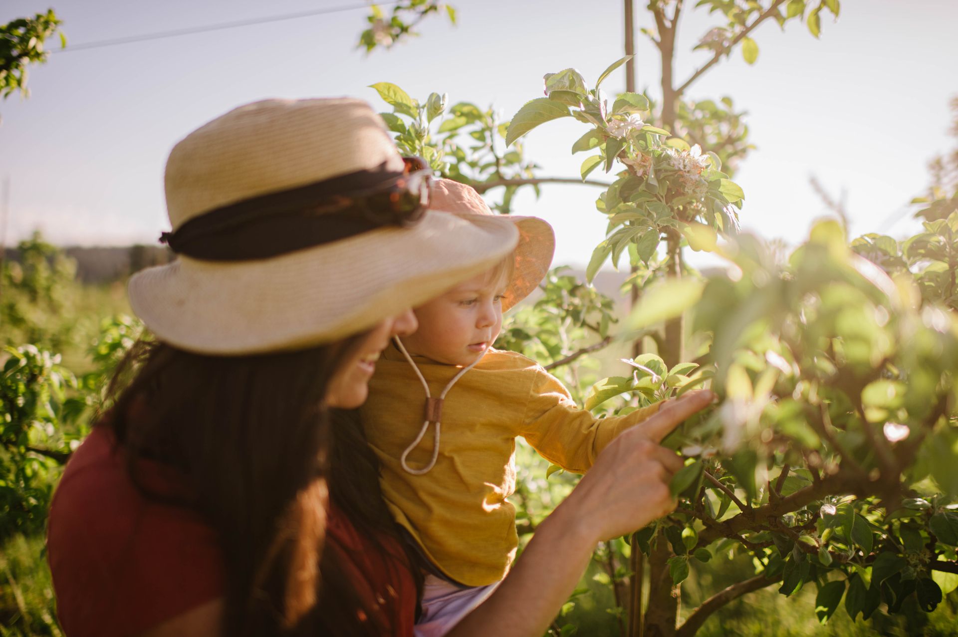 We seek to create deep-rooted and fruitful connections at our farm-based gathering space at our Cider Garden, open year-round with cider on draft, seasonal tours & tastings, live music, local food, seasonal events and celebrations.
