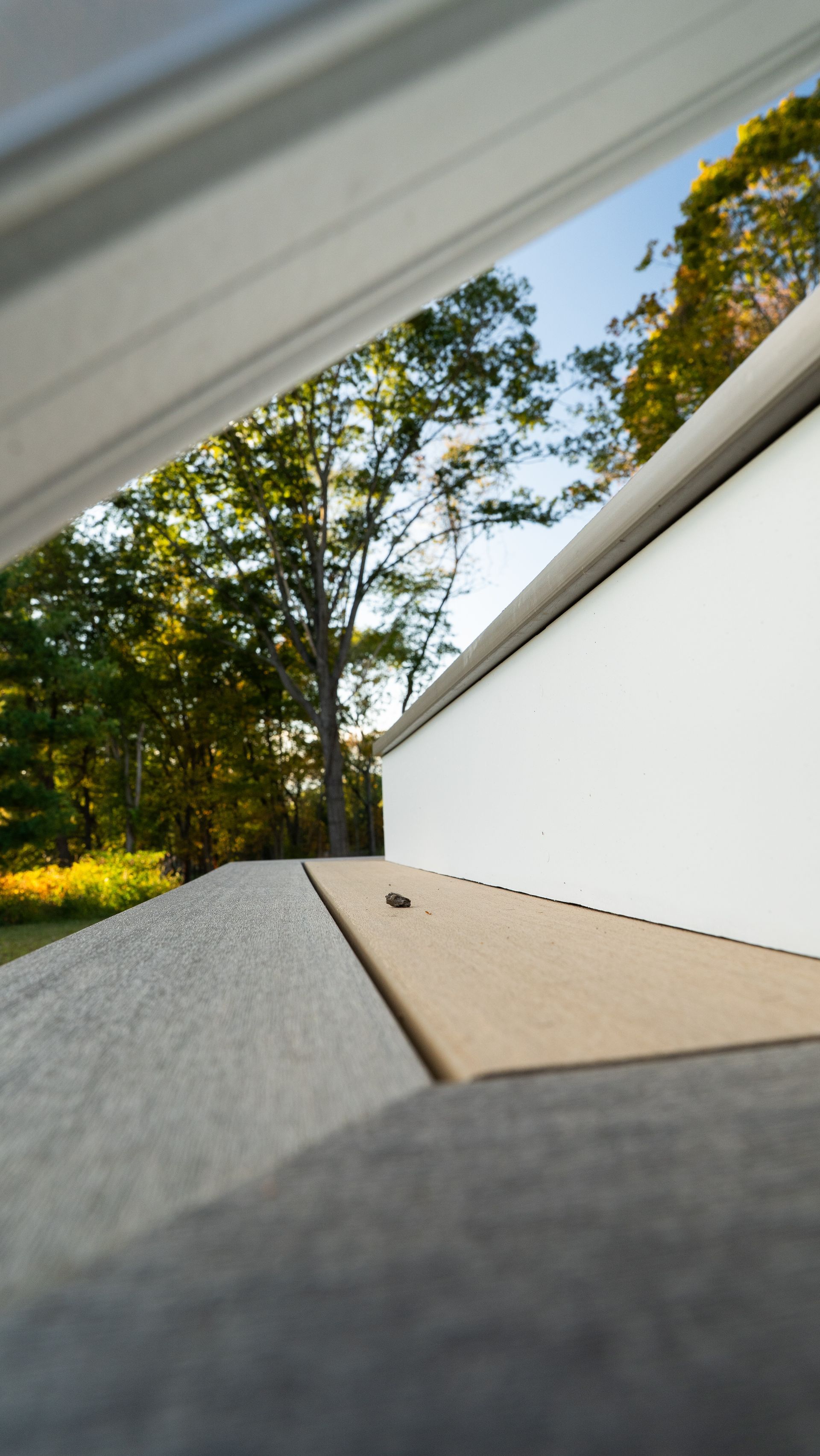 Low-angle view of a white ramp with gray walkway beside trees and blue sky.