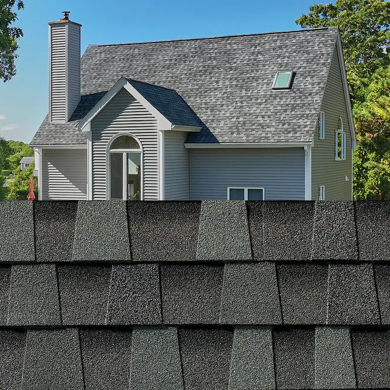 Suburban house with gray shingle roof and chimney, viewed over a close-up roofline