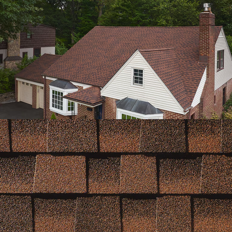 House with red shingle roof behind a large foreground of roof shingles and trees
