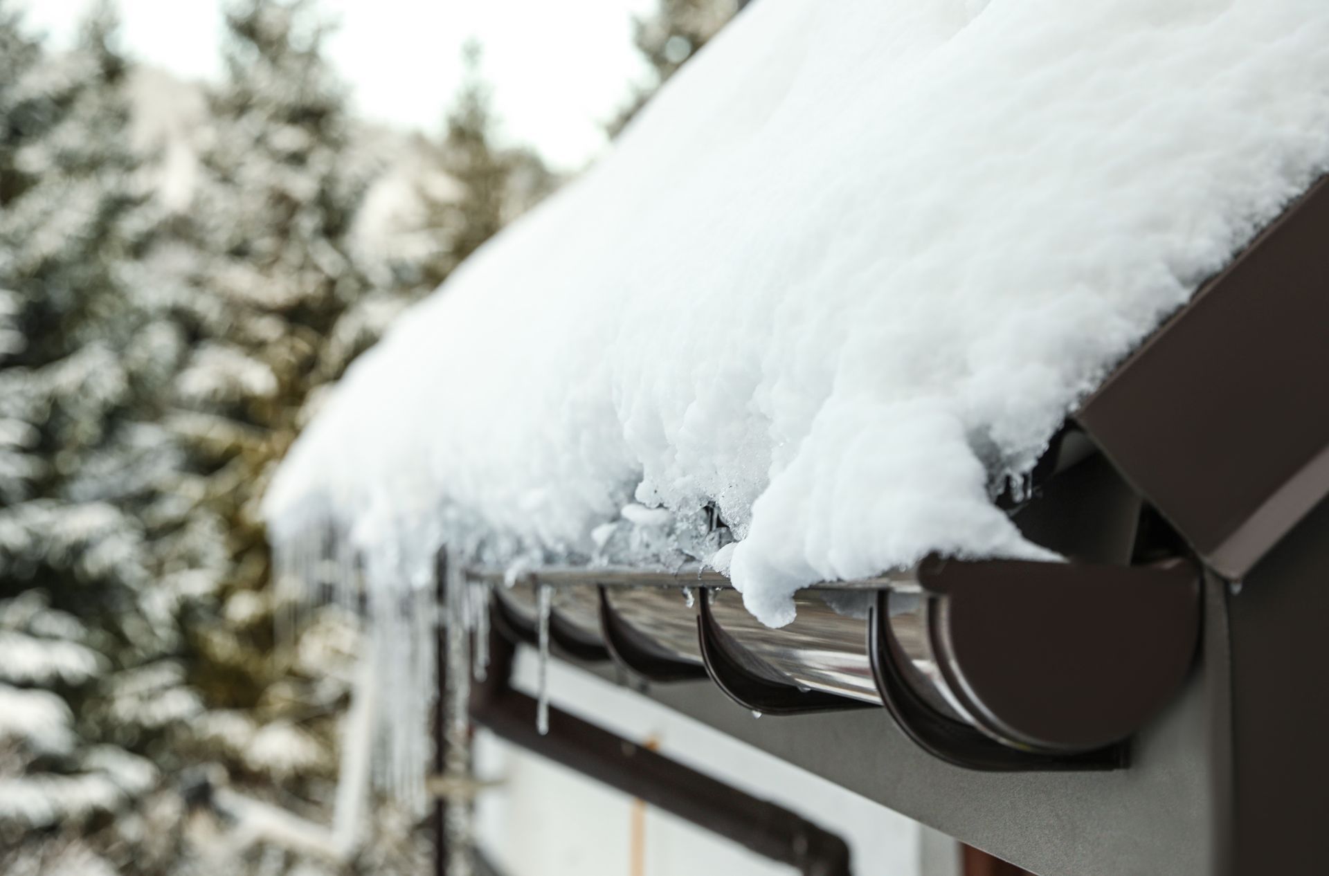Snow-covered house eaves with icicles, against blurred evergreen trees in winter