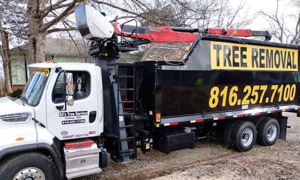 A tree removal truck is parked in front of a house.